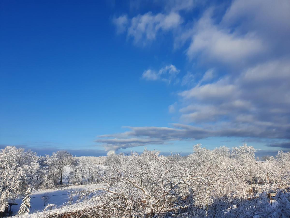 Energetischer Urlaub In Der Eifel Germeter Экстерьер фото